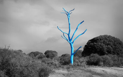 Blue Tree – Duratec